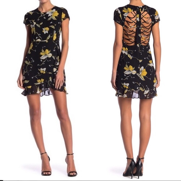 lucy lace dress bardot